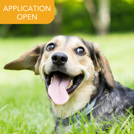 Animal Welfare Open