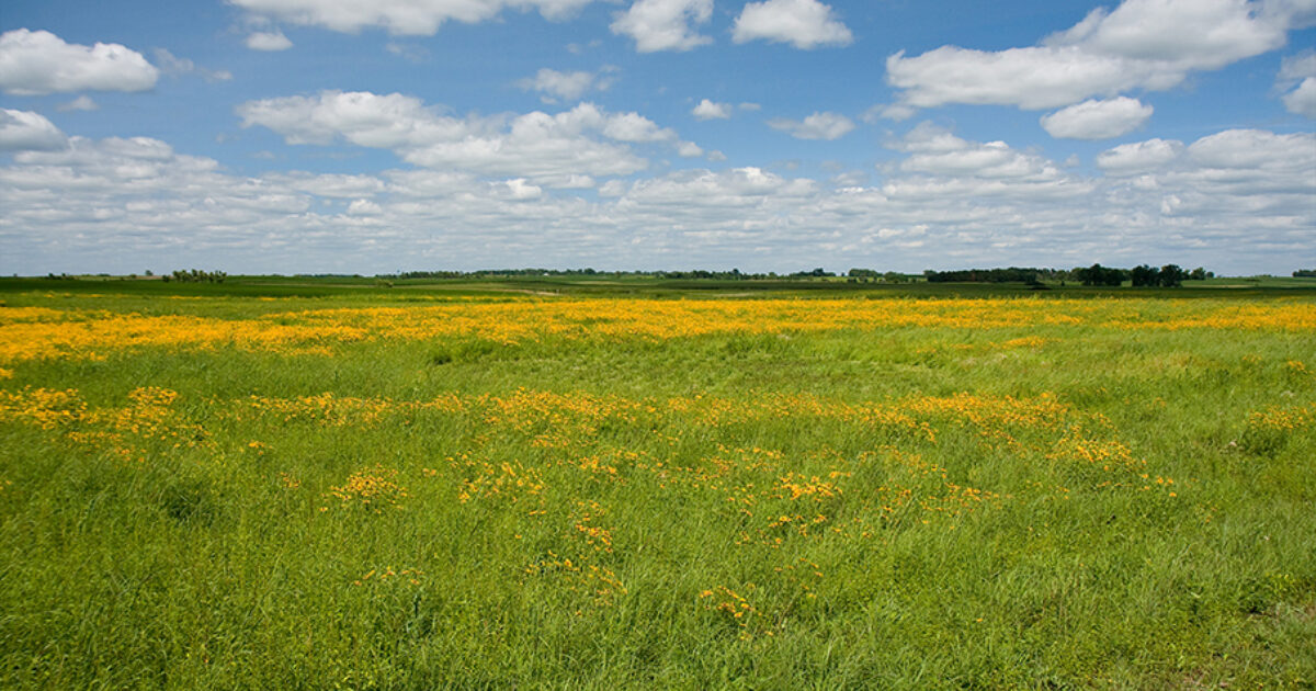 Sioux Falls Area Community Foundation | Grant Will Support Effort to…