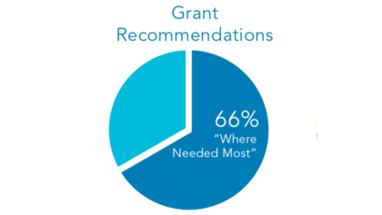 grant recommendations in 2020