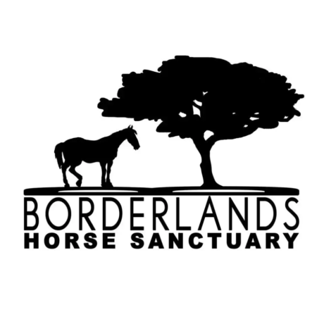 Borderlands Horse Sanctuary